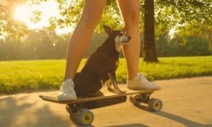 best electric skateboard kit