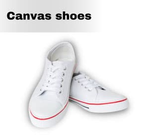 Sneakers vs canvas top