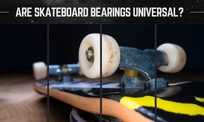 are skateboard bearings universal