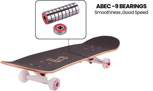 Bearings-of-fish-skateboards