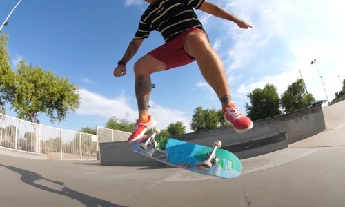 Poppy-and-sturdy-of-santa-cruz-skateboard