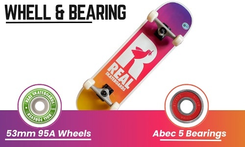 Wheels-and-Bearings-of-real-skateboards