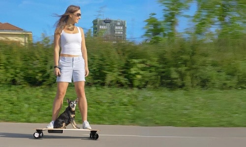 Speed-of-Caroma-Electric-Skateboards